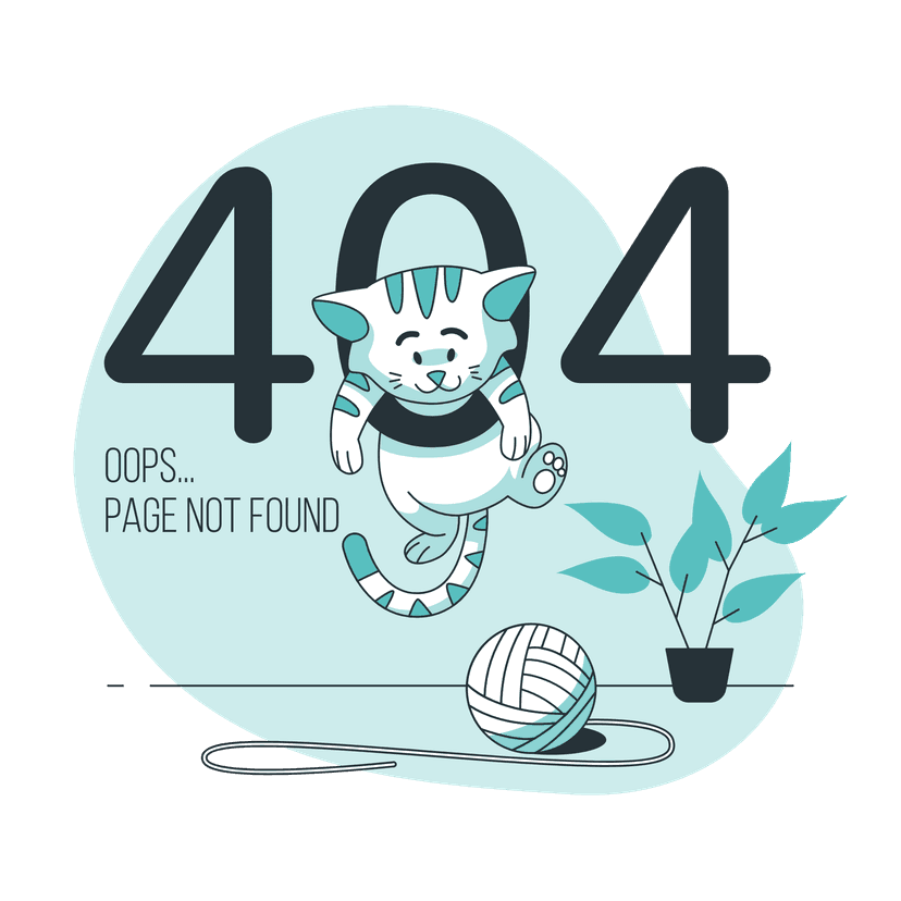 404 page Illustration